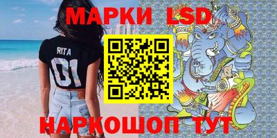 a pvp Новозыбков