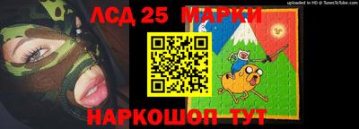 a pvp Новозыбков
