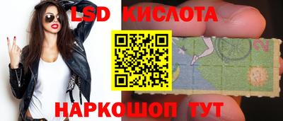a pvp Новозыбков