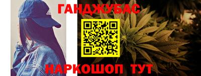 a pvp Новозыбков