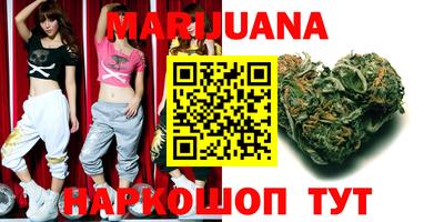 a pvp Новозыбков