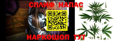 a pvp Новозыбков