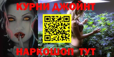 a pvp Новозыбков