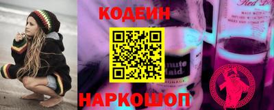 a pvp Новозыбков