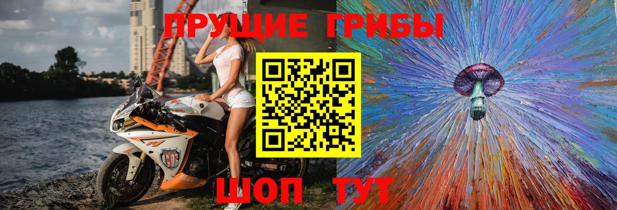 Псилоцибиновые грибы ЛСД  Вход с VPN  Чернушка 