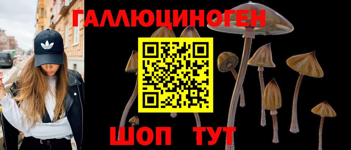 Псилоцибиновые грибы мицелий Чернушка